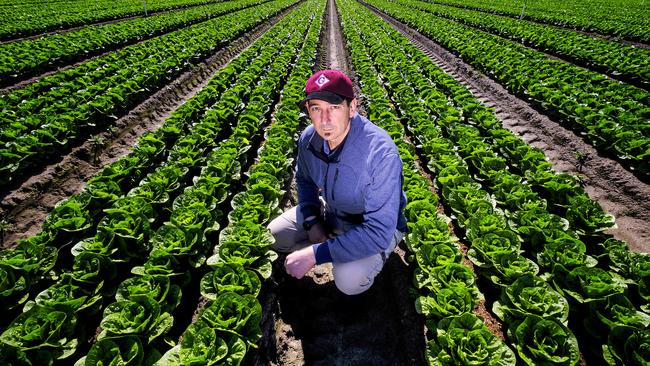 Paul Gazzola said vegetable growers could resort to sending their produce interstate in a bid to fetch the best price possible. Picture: Luis Enrique Ascui