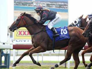 Laughing Crusader, ridden by Cassie Priest, wins the Niagara Furniture Finishes Handicap at Corbould Park yesterday. Picture: Nicholas Falconer