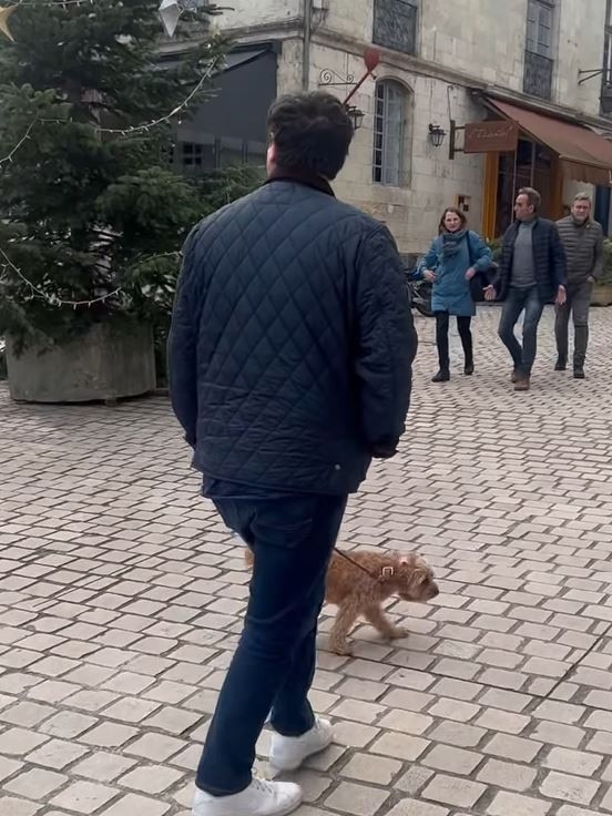 Her partner David Sharaz walking their dog. Picture: Instagram