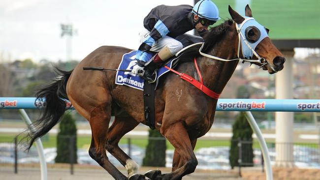 The punters will be jostling for a glimpse of The Cleaner at the Valley on Saturday. Picture: Getty Images