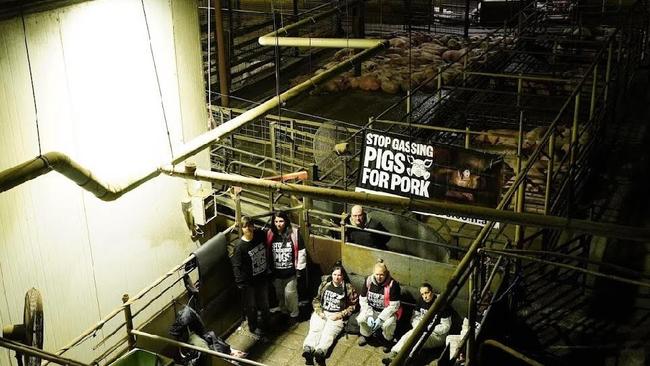 Animal activists after storming a Victorian slaughterhouse to protest the stunning of pigs. Picture: Farm Transparency Project