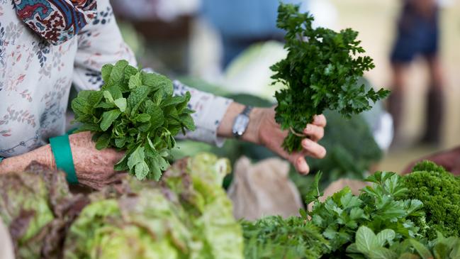 Fresh produce at Millen Farm, Samford. Photo: Dominika Lis