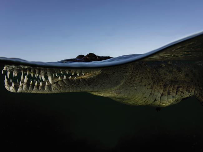 Winning entries from 2018 Sharp Shot Australia photography competition: Picture: Brett Lobwein (NSW) - Taken in Cuba