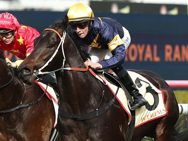 SYDNEY, AUSTRALIA - JULY 06: Zac Lloyd riding Brave One wins Race 1 Petaluma Handicap during Sydney Racing at Royal Randwick Racecourse on July 06, 2024 in Sydney, Australia. (Photo by Jeremy Ng/Getty Images)