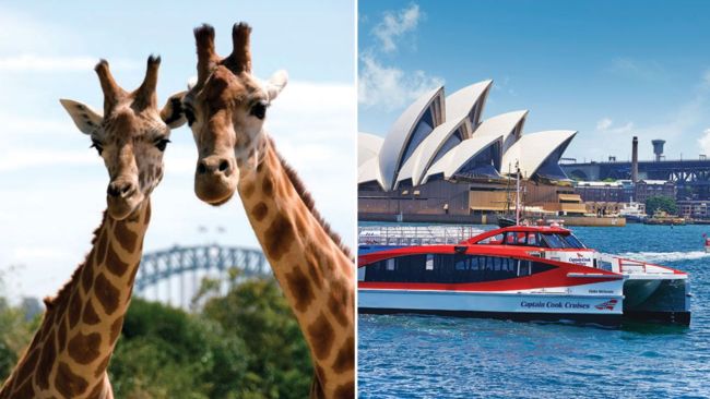 Catch a ferry to Taronga Zoo. Image: Experience Oz