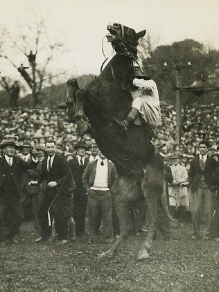 Unravelling the legacy of Australian cattle king Sydney Kidman | news ...