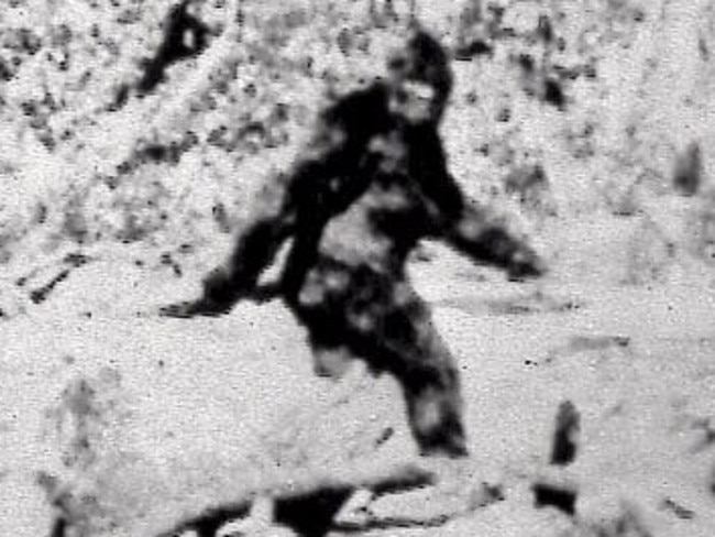 A still from the infamous 1967 film purporting to show Bigfoot. Picture: AP