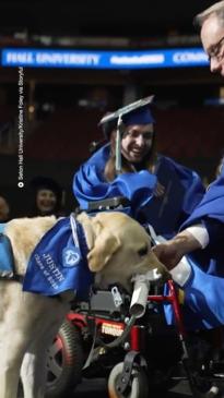 Service dog graduates from university