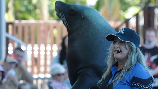 Dolphin Marine Conservation Park Life Sciences manager Tiga Cross with 170kg Australian Sea Lion, Ozzie. Photo: Gail Adamson.