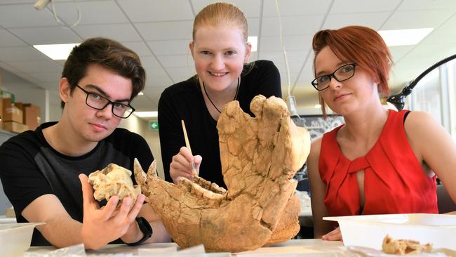 Bachelor of Science (Palaeontology) students Fraser Brown, Rachel Oertel and Maddison Randall at Flinders University’s $1.1m palaeontology laboratory. Picture: Flinders University