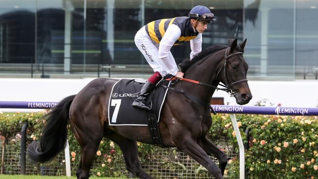 Future Score is missing out on the great race. (George Salpigtidis/Racing Photos via Getty Images)