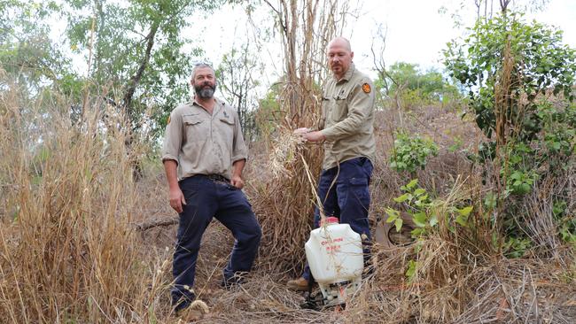 Tom Price and Chris Collins are joining the ‘Gamba Army’ to fight the weed problem in national parks. Picture: Supplied