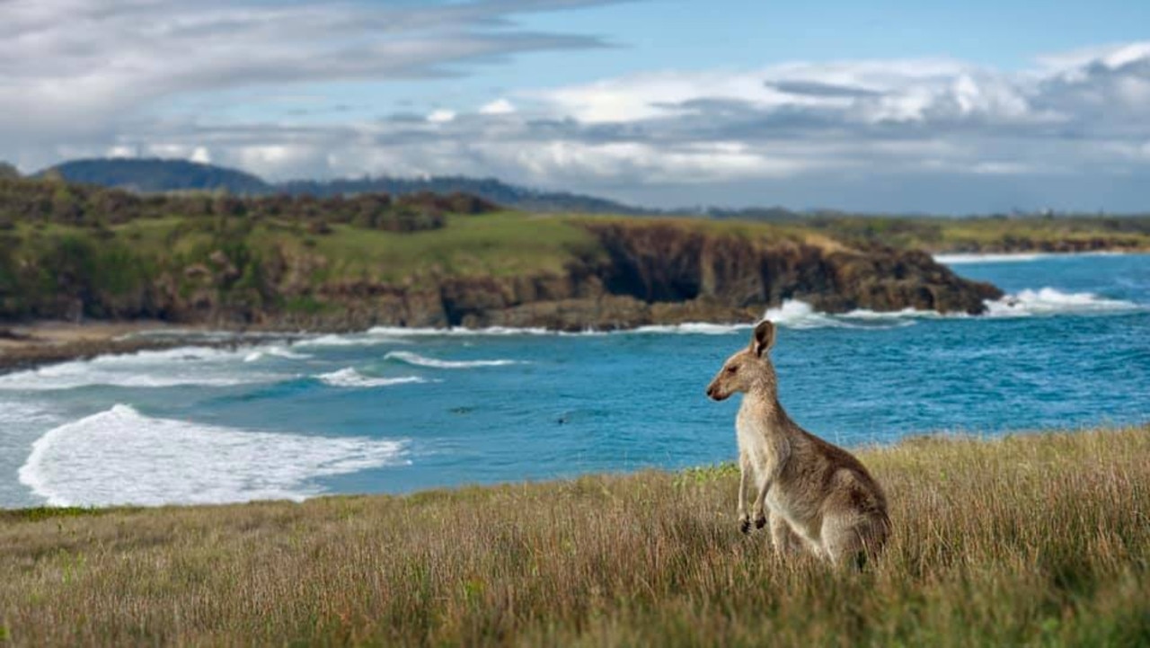 Look At Me Now Headland, snapped by Jason Martin.