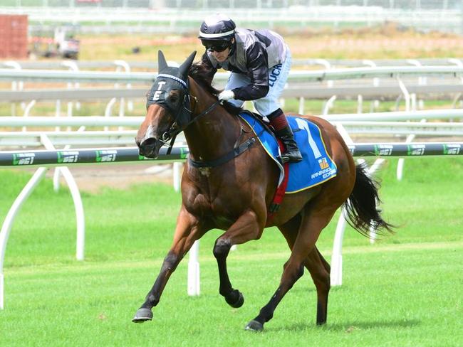 Houtzen does it easy at Eagle Farm. Picture: Grant Peters, Trackside Photography