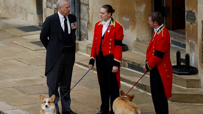 Prince Andrew with royal corgis in 2022. Picture: Peter Nicholls – WPA Pool/Getty Images