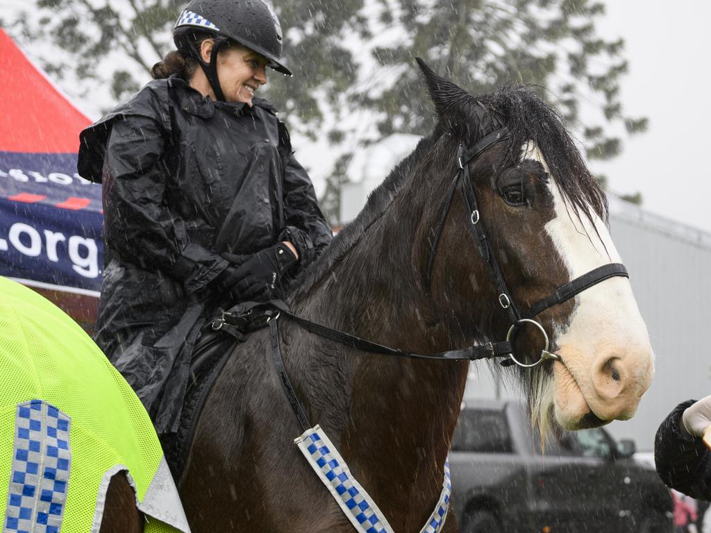Mounted unit officer Sergeant Lisa Shilton with Alfie at the Queensland Police Community Safety and Career Expo on the TAFE oval, Saturday, May 31, 2025. Picture: Kevin Farmer