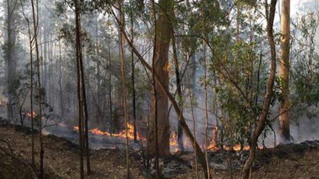 Hazy conditions blanket Gold Coast following hazard reduction burn on ...