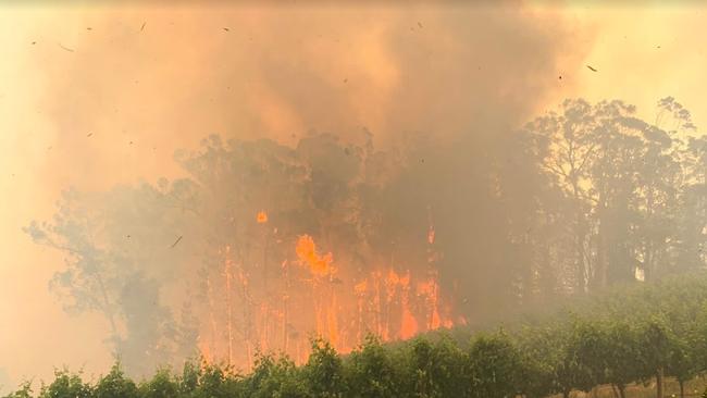 Beal &amp; Co winery and vineyards during the Cudlee Creek bushfire. Photo: Beal &amp; Co