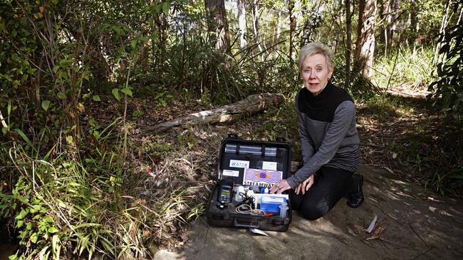 Ann Brown who is a streamwatch volunteer at Larool creek in Thornliegh which they where she found out was polluted. Picture: Adam Yip / Manly Daily