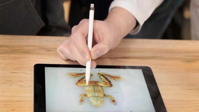 The new 9.7-inch Apple iPad and pencil