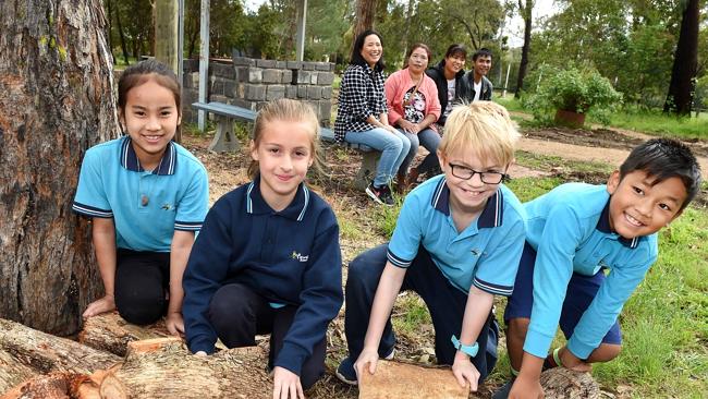 Pembroke Primary’s community garden offers parents a chance to study ...