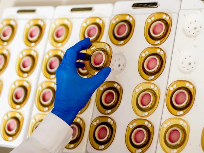 WSJ: Novocure researchers examine cell cultures that have been treated with the company’s technology. Picture: Novocure