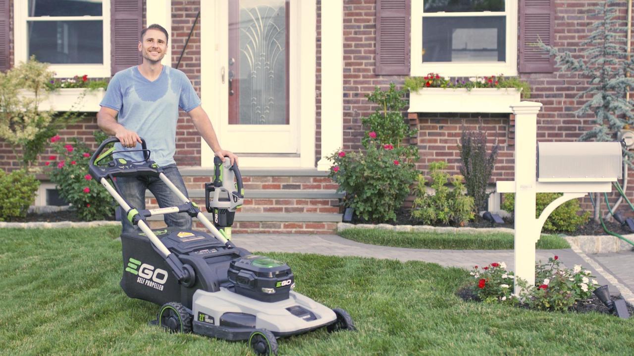 One Man’s Obsession With Lawn Care