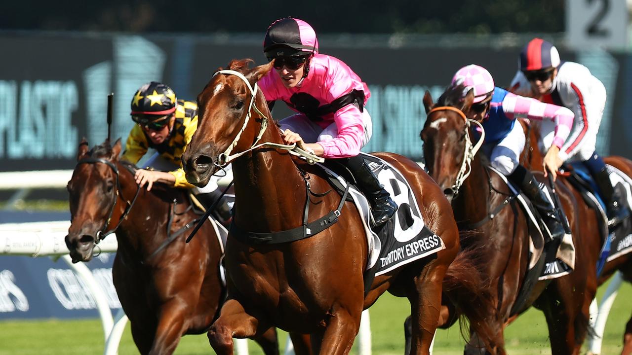 Territory Express is one of the leading contenders in the Five Diamonds Prelude. Picture: Jeremy Ng/Getty Images