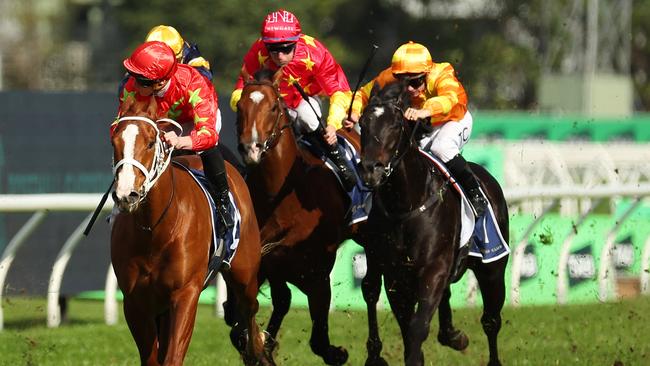 Gatsby's dominated in The Rosebud last month. Picture: Jeremy Ng/Getty Images