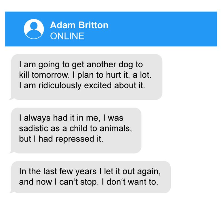 Telegram text chats uncovered by police reveal his exchanges with other “likeminded” users.