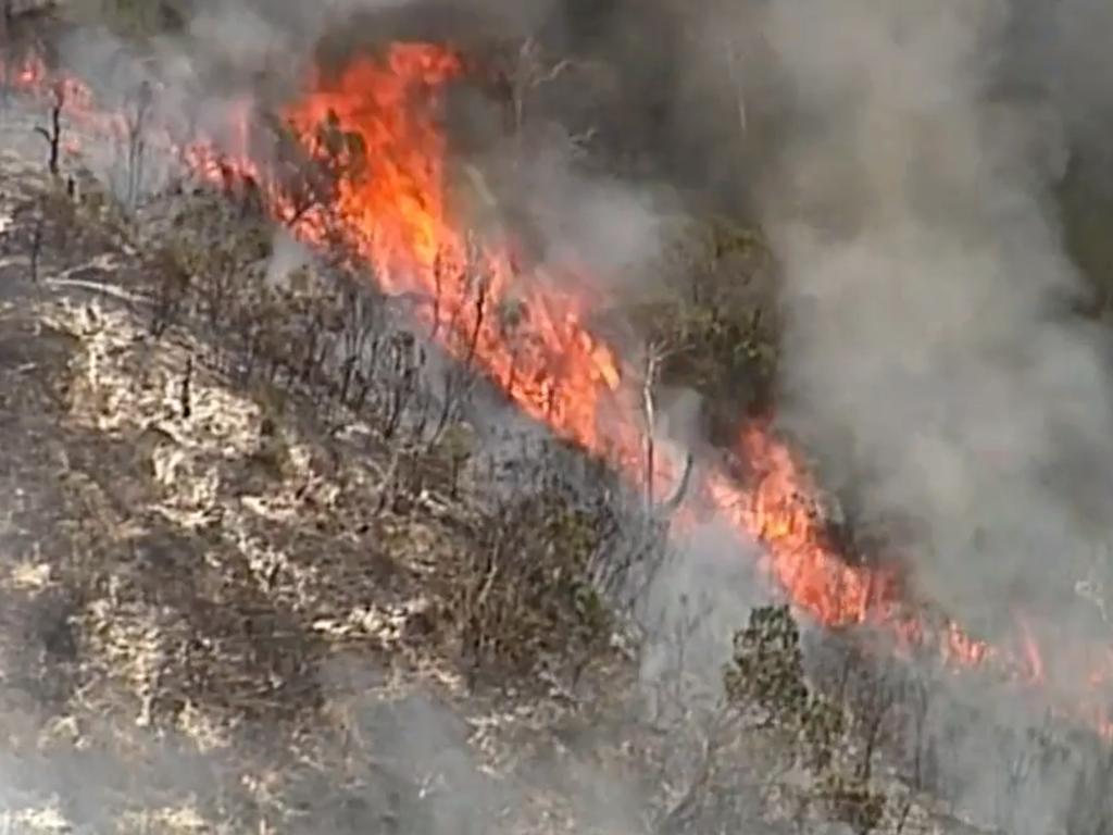 More than half of the world-heritage listed island has been burned over the last seven weeks, after a bushfire was started by an illegal campfire. Picture: Channel 9