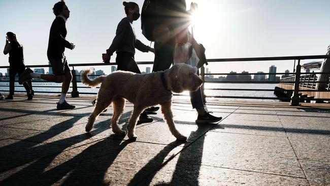 Diet along with any physical activity is important for weight loss and maintenance. Picture: AFP