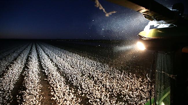 Revenue from cotton farming is expected to increase during the next five years if weather patterns switch from drought to more normal seasons, according to IBISWorld.