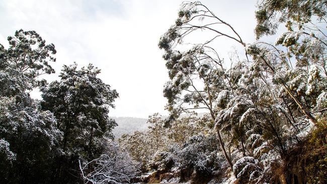 The road heading up to Uxbridge. Photo Megan Jackson DVG Snow Hobart
