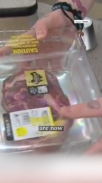 Drakes Supermarkets trials GPS trackers on high-end meat products