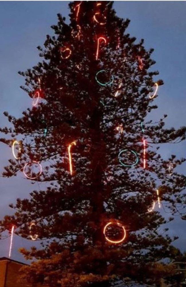 Locals label Forster Christmas tree ‘ugliest’ on NSW Mid-North Coast ...