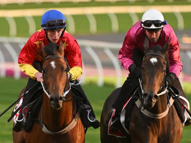 MELBOURNE, AUSTRALIA - OCTOBER 24: Zac Lloyd riding Militarize (L) and Steven Arnold riding Fangirl during gallops at Moonee Valley Racecourse on October 24, 2023 in Melbourne, Australia. (Photo by Vince Caligiuri/Getty Images)