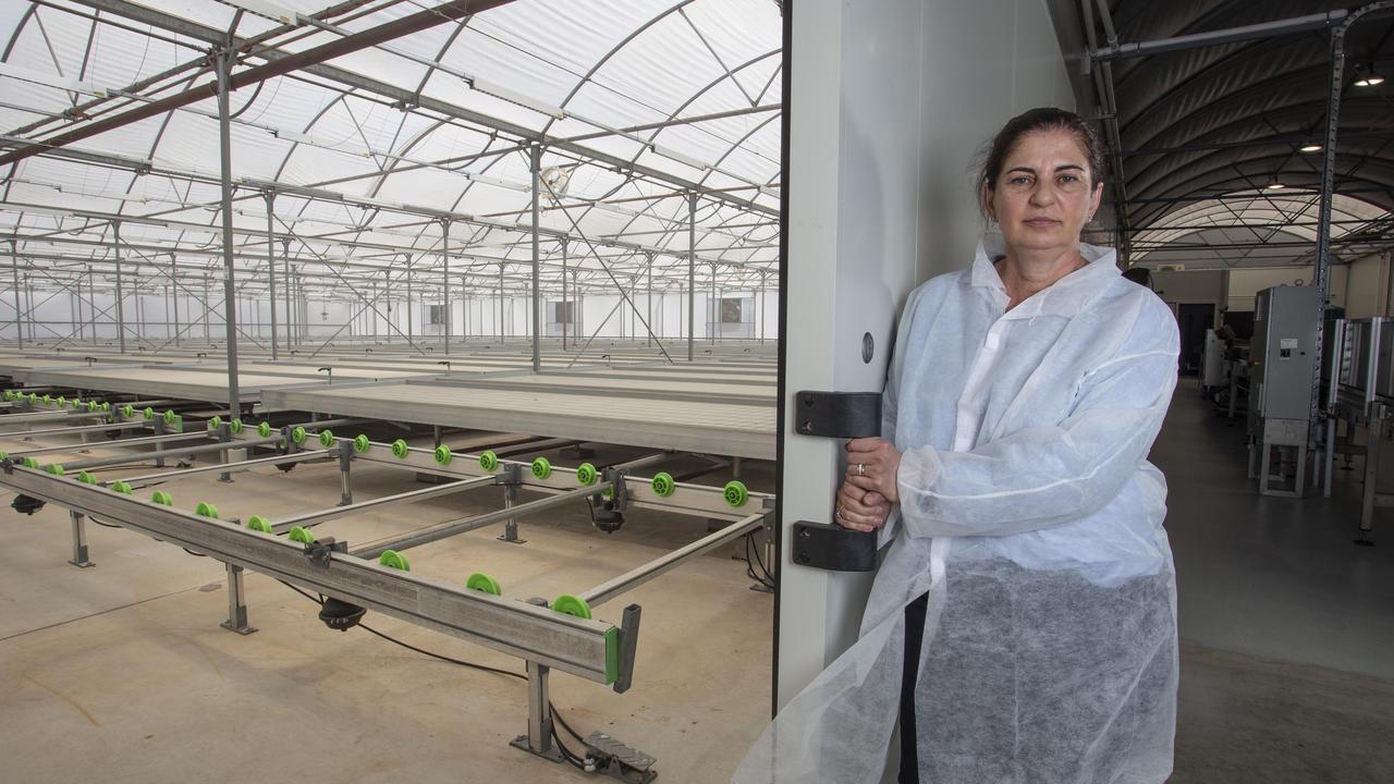 SA Tomato owner Oriana Petsios opens the door to an empty glasshouse. Picture: Brett Hartwig