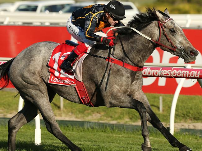 Grey Shadow makes easy work of her win at Caulfield last month. Picture: AAP