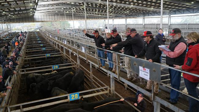 There was a strong crowd of feedlotters and local buyers at Leongatha.