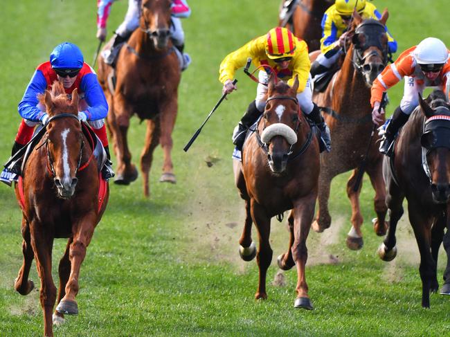 MELBOURNE, AUSTRALIA - JUNE 03:  Craig Williams riding Magic Consol winning Race 5 during Melbourne Racing at Moonee Valley Racecourse on June 3, 2017 in Melbourne, Australia.  (Photo by Vince Caligiuri/Getty Images)