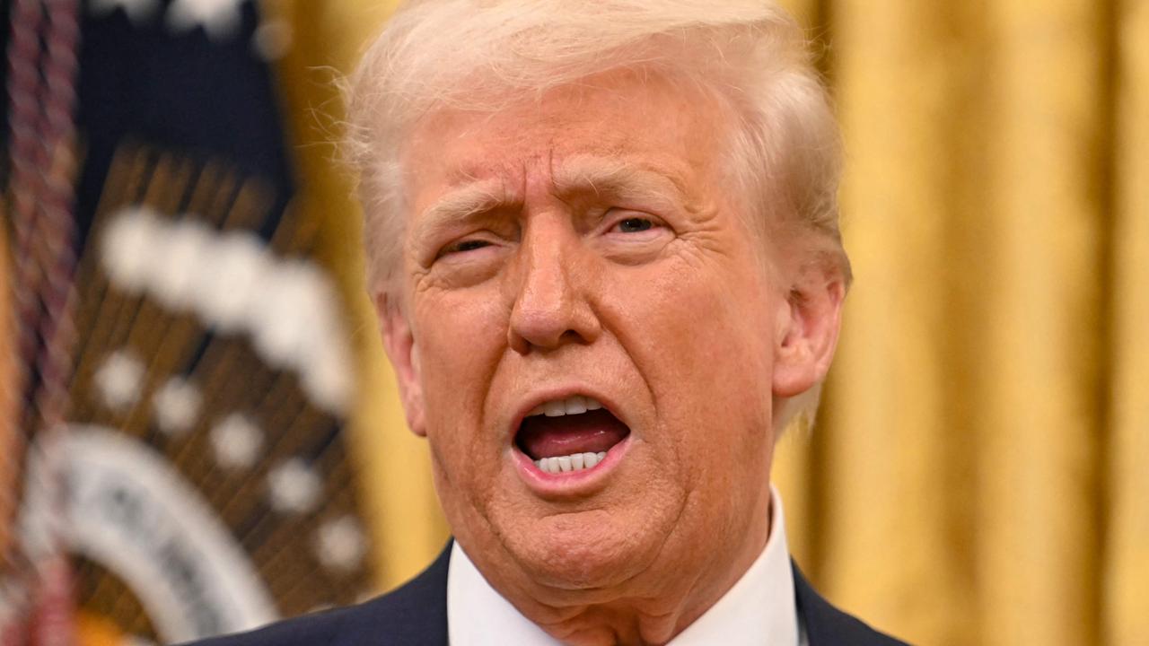 Albo urged to go hard on Trump