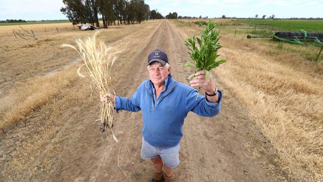 Wayne Hawkins has a cropping property straddling the SA/Vic border. On one side he can grow GM crops, on the other (SA), he cannot. Picture: Tait Schmaal