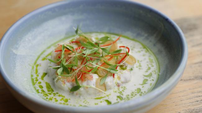 The reef fish Ceviche entree at Sole restaurant at Marcoola. Picture: Lachie Millard