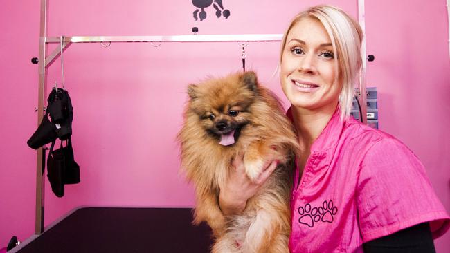Dogs even have access to their own beauty salons.