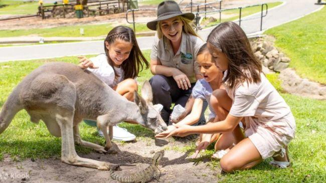 See who's hanging around at the Currumbin Wildlife Sanctuary. Image: Klook