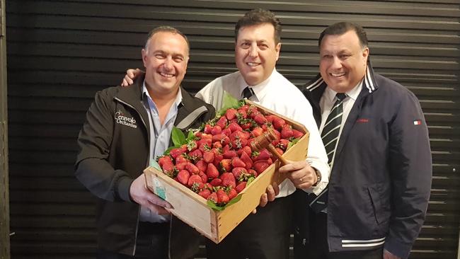 Strawberry grower Tony Ceravolo with Romeo's director Anthony Romeo and his brother Paul Romeo.