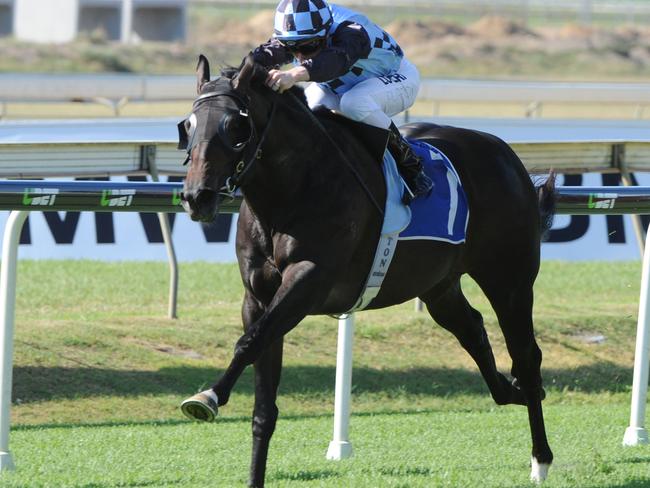 Kamacite landed some big bets at big odds for punters. Picture: Grant Peters, Trackside Photography