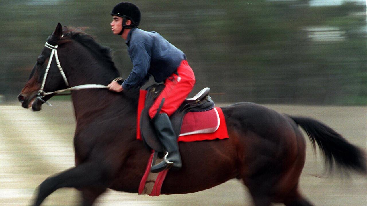 SPORT - STUD HORSE DAYBREAK LOVER WITH APPRENTICE JOCKEY SCOTTY GEE AT SPRINGFIELD'S STUD /STANTHORPE horseracing May 1997 action