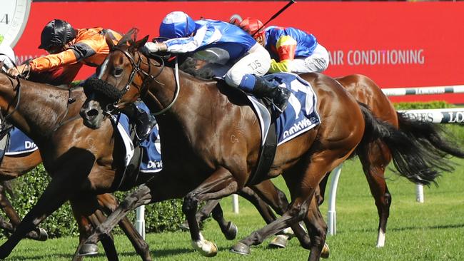 SYDNEY, AUSTRALIA - FEBRUARY 25: Ryan Maloney riding  Sunshine In Paris wins Race 7 Drinkwise Surround Stakes during TAB Chipping Norton Stakes Day - Sydney Racing at Royal Randwick Racecourse on February 25, 2023 in Sydney, Australia. (Photo by Jeremy Ng/Getty Images)